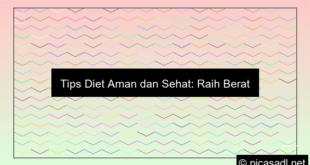 ilustrasi tips diet aman