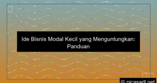 bisnis modal kecil