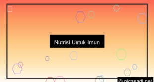 visual nutrisi untuk imun